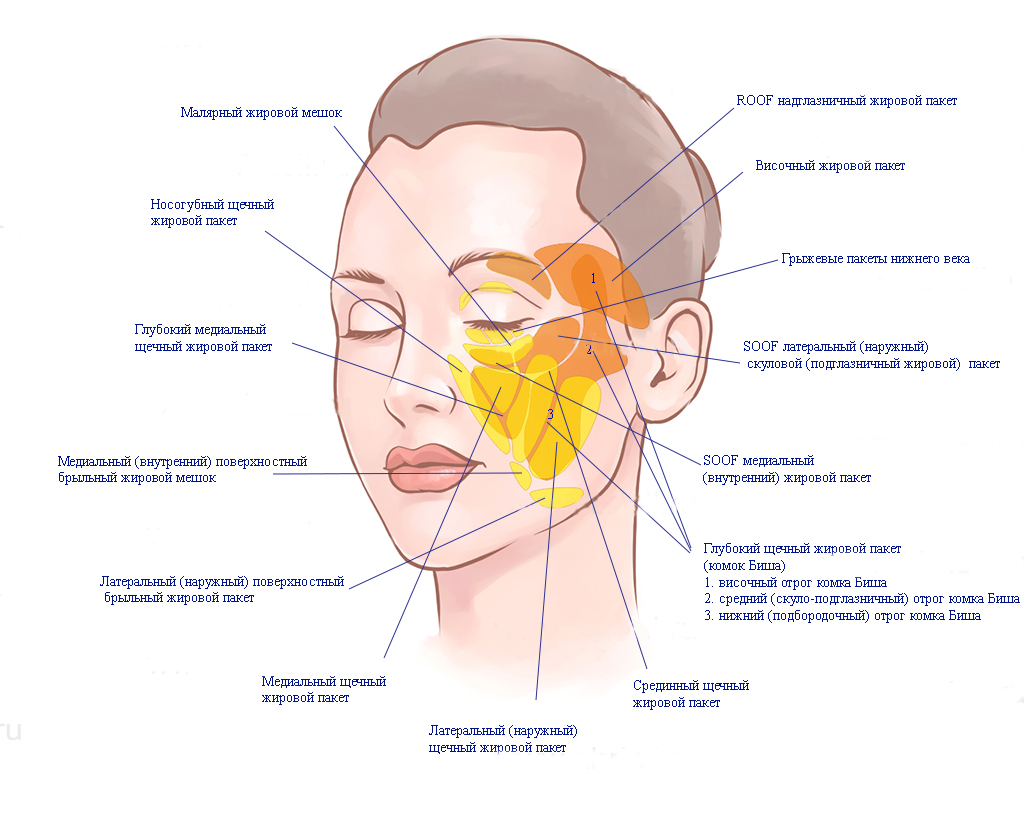 Жировые пакеты
